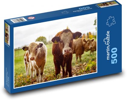 Krávy - farma, dobytek - Puzzle 500 dílků, rozměr 46x30 cm