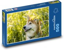 Shiba Inu - dog, pet Puzzle of 500 pieces - 46 x 30 cm 