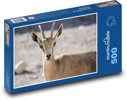 Kozorožec - zvíře, mládě - puzzle 500 dílků