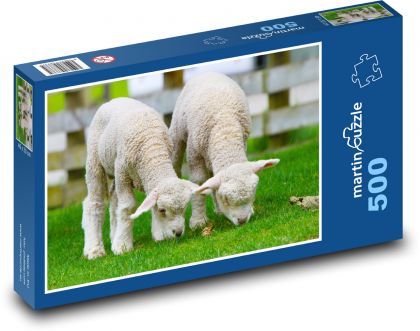 Sheep - lambs, animals - Puzzle of 500 pieces, size 46x30 cm 