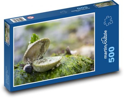 Mušle - morské riasy, mach - Puzzle 500 dielikov, rozmer 46x30 cm 