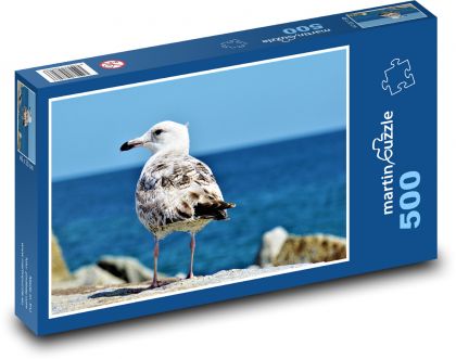 Racek - pták, baltské moře  - puzzle 500 dílků