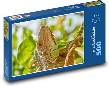 Leguán - plaz, ještěrka - Puzzle 500 dílků, rozměr 46x30 cm