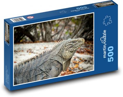 Iguana - jaszczurka, gad - Puzzle 500 elementów, rozmiar 46x30 cm