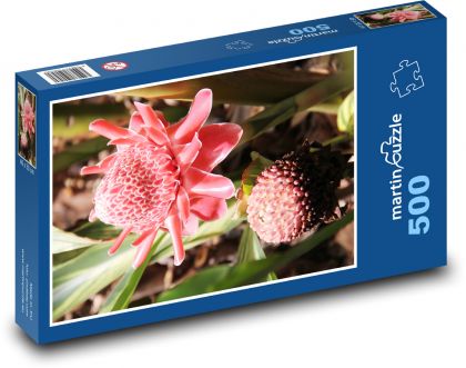 Passionflowers - rainforest, flowers - Puzzle of 500 pieces, size 46x30 cm 