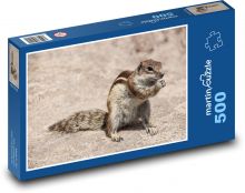 Veverka - hlodavec, zvířata Puzzle 500 dílků - 46 x 30 cm