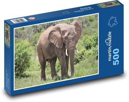 Elephant - animal, safari - Puzzle of 500 pieces, size 46x30 cm 