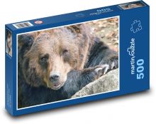 Bär - Tier, Säugetier Puzzle 500 Teile - 46 x 30 cm