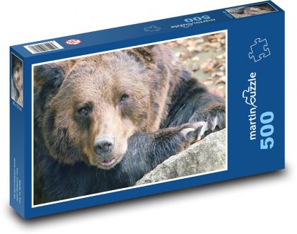 Medvěd - zvíře, savec - Puzzle 500 dílků, rozměr 46x30 cm