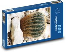 Kaktus - rostlina, květina Puzzle 500 - 46x30 cm