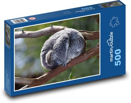 Koala - marsupial, animal - Puzzle of 500 pieces, size 46x30 cm 