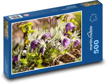 Kvety - krokusy, jar - Puzzle 500 dielikov, rozmer 46x30 cm 