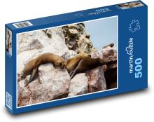Foki - zwierzęta, skały Puzzle 500 elementów - 46x30 cm