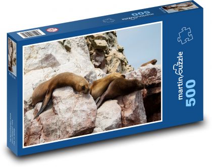 Seehunde - Tiere, Felsen - Puzzle - 500 Teile