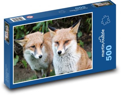 Lisy - zwierzęta, ssaki - Puzzle 500 elementów, rozmiar 46x30 cm