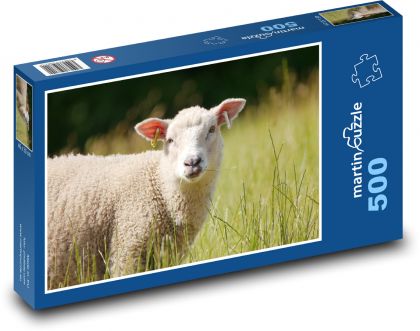 Ovce na pastvě  - puzzle 500 dílků
