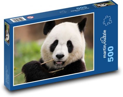 Panda - zvíře, savec - puzzle 500 dílků
