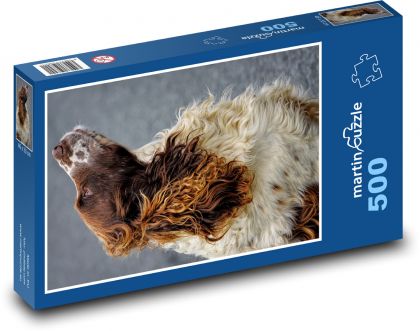 Anglický špringršpaněl - Puzzle 500 dílků, rozměr 46x30 cm