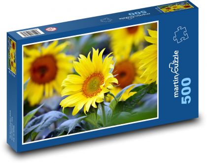 Sonnenblume - gelbe Blume - Puzzle - 500 Teile