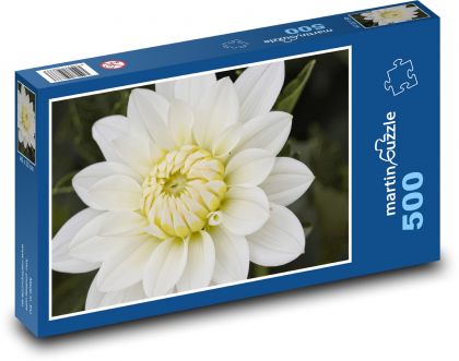 Weiße Dahlienblüte - Puzzle - 500 Teile