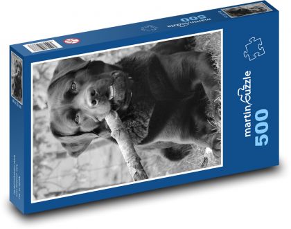 Pies - labrador, zwierzę domowe - Puzzle 500 elementów, rozmiar 46x30 cm