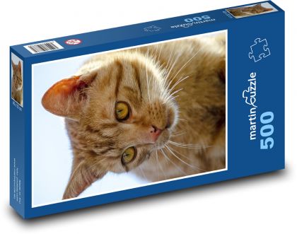 katze, tier - Puzzle - 500 Teile