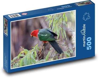 Austrálsky kráľovský papagáj - vták na vetve - Puzzle 500 dielikov, rozmer 46x30 cm 