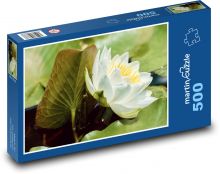 Bílý leknín - květ, vodní rostlina Puzzle 500 dílků - 46 x 30 cm
