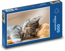 Spící kočka - mládě, zvíře Puzzle 500 dílků - 46 x 30 cm