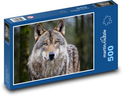 Vlk - zvíře, šelma - puzzle 500 dílků