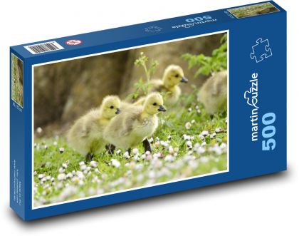 Káčatko - kačice - Puzzle 500 dielikov, rozmer 46x30 cm 