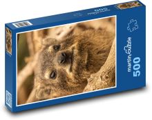 Daman - Afryka Puzzle 500 elementów - 46x30 cm