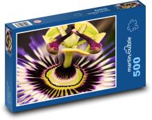 Květ mučenky  Puzzle 500 dílků - 46 x 30 cm