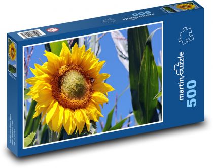 Žlutá slunečnice  - puzzle 500 dílků