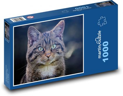 Scottish Wildcat - Puzzle 1000 elementów, rozmiar 60x46 cm