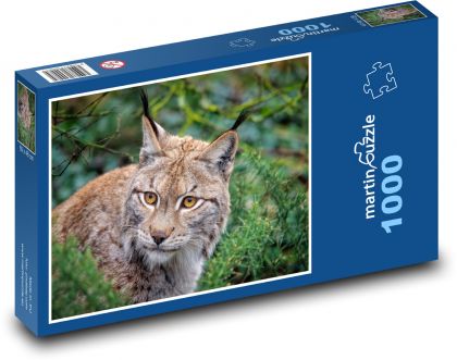 Rys ostrovid v lese  - puzzle 1000 dílků