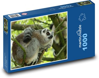 Kata-Lemur, der auf einem Baum schläft - Puzzle - 1000 Teile