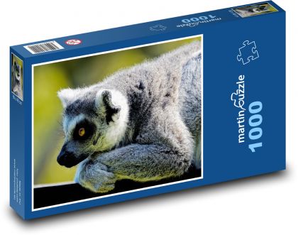 Lemur - monkey - Puzzle 1000 pieces, size 60x46 cm 