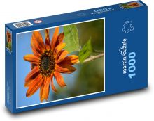 Orange Gerbera Flower Puzzle 1000 pieces - 60 x 46 cm