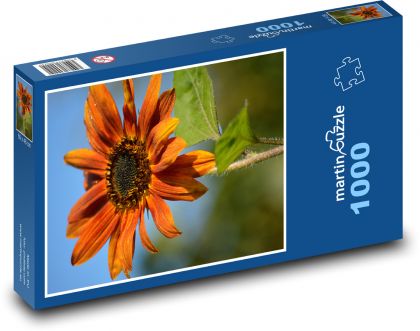 Květ oranžové gerbery - puzzle 1000 dílků