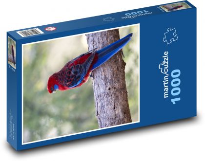 Rozela Pennantova - Australischer Papagei - Puzzle - 1000 Teile