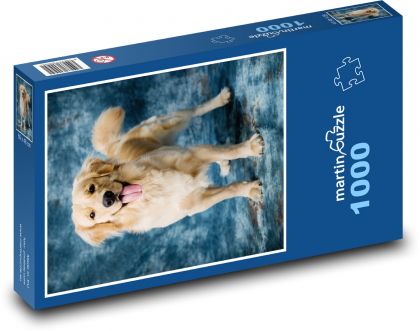 Labrador - zwierzę domowe - Puzzle 1000 elementów, rozmiar 60x46 cm