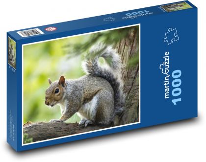 Eichhörnchen auf einem Baum - Puzzle - 1000 Teile