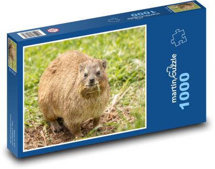 Daman - African animal - Puzzle 1000 pieces, size 60x46 cm 