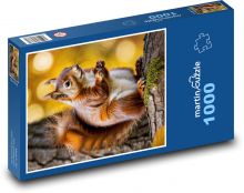 Veverička - lesné zviera Puzzle 1000 dielikov - 60 x 46 cm 