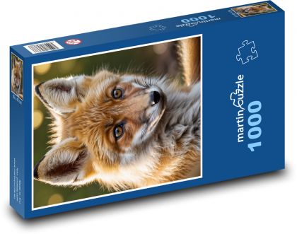 Lesní šelma - liška - puzzle 1000 dílků