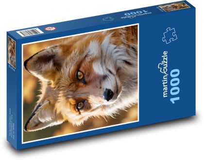 Liška - lesní zvíře - puzzle 1000 dílků