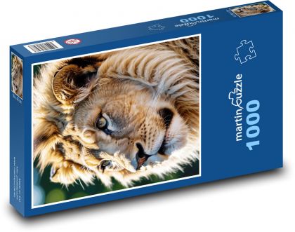 Lev s obrovskou hrivou - Puzzle 1000 dielikov, rozmer 60x46 cm