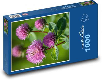 Kvety ďateliny na lúke - Puzzle 1000 dielikov, rozmer 60x46 cm