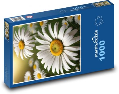 Gänseblümchen - weiße Blumen - Puzzle - 1000 Teile